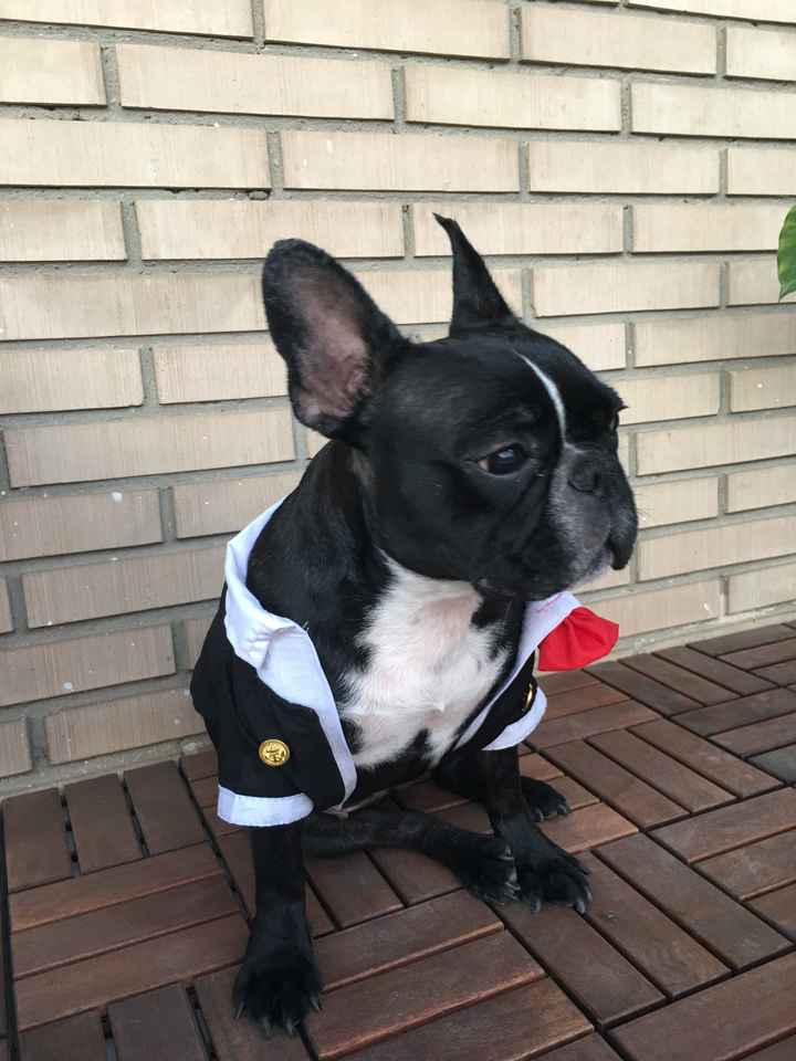 a mi frenchi no le cierra el traje!! - 1