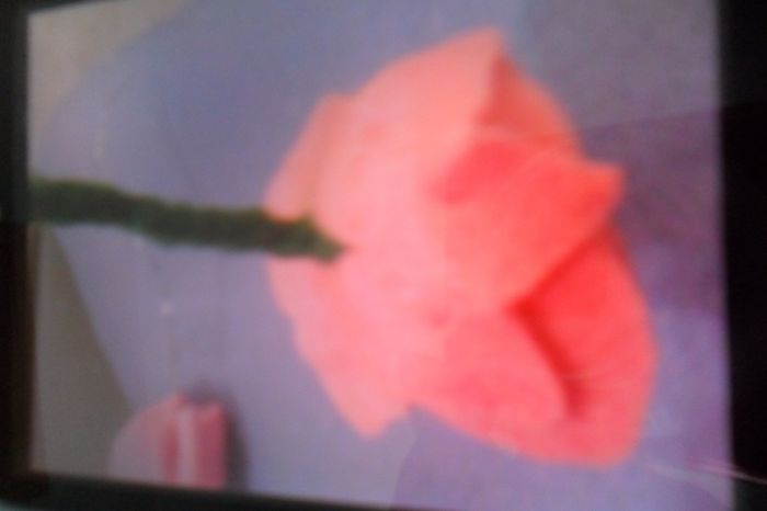 flor de fieltro