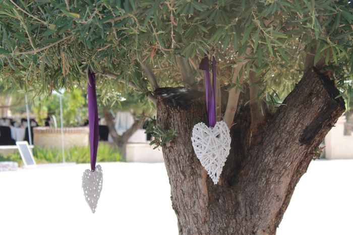 Decoración jardin
