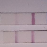 Falso negativo clearblue - 1
