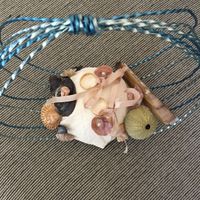 Cesta Alianza