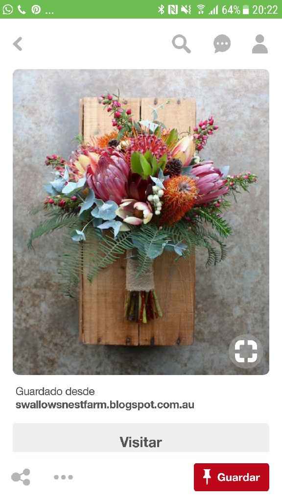  Ayuda ramo 💐 - 1