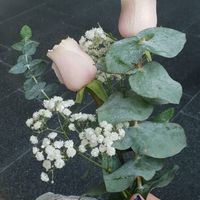 ¿Flores naturales o preservadas? - 1
