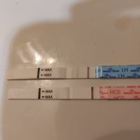Buscadoras septiembre 2023 🍀 - 1