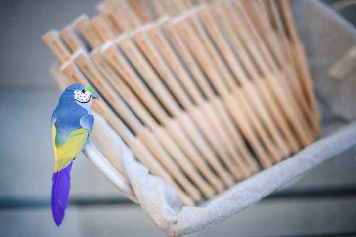 Tema Pajaros - 2