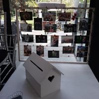 Mis jaulas de decoración! - 2