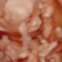 mamis noviembre 2019 oficial - 1