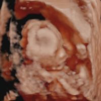 mamis noviembre 2019 oficial - 3