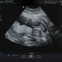 mamis noviembre 2019 oficial - 4