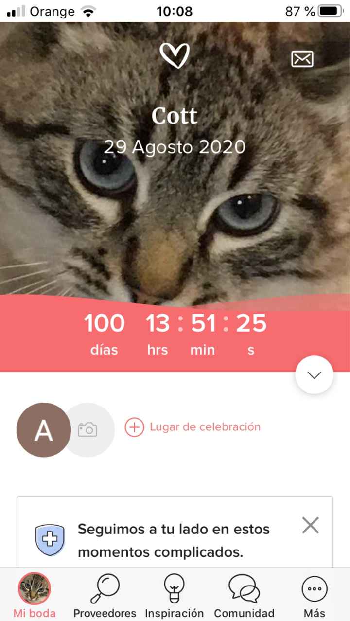 No me había dado cuenta!! 100 días quedan!! - 1