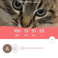 No me había dado cuenta!! 100 días quedan!! - 1