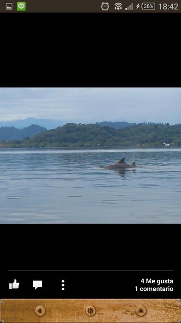 Viaje de novios a costa rica!  - 3