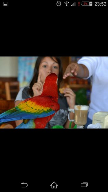 ¡¡sos!! ¿¿¿tailandia o costa rica??? - 3