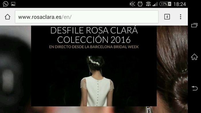 Desfile rosa clará - 1