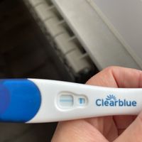 buscadoras de noviembre 🌈❤️ - 1