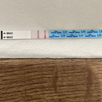 Buscadoras de diciembre 2021! - 1