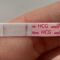 Buscadoras de diciembre 2021! - 1