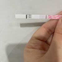 Buscadoras enero 2022 - 1