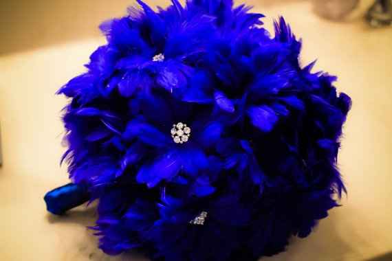 plumas azules