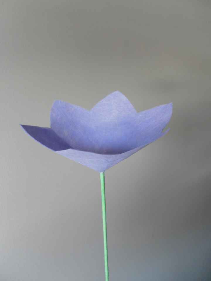 Flor para pétalos