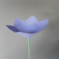 Flor para pétalos