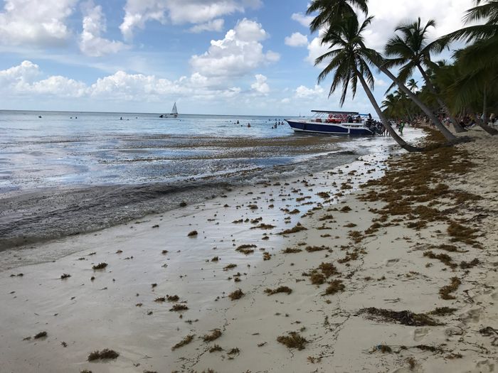 Parejas que os vais a República dominicana Punta Cana - 1