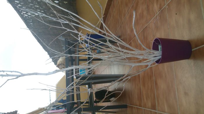 Mi arbol de los deseos en proceso 