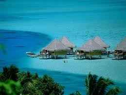 mas polinesia
