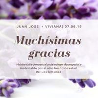 Viviana. Los favoritos de mi vida. - 6
