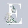 Estrella