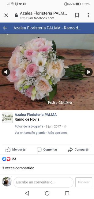 Mi ramo - 2