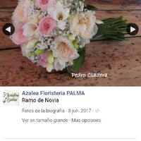Mi ramo - 2