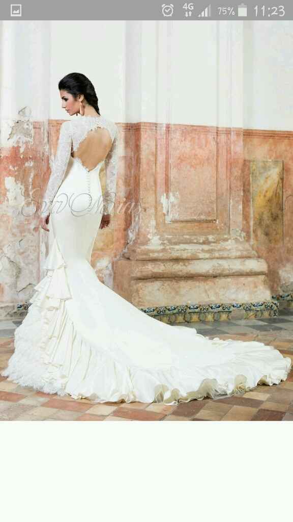 Dudas sobre mi vestido - 8