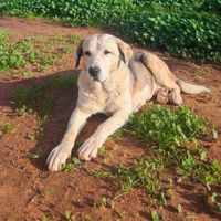 ¿Dónde lo pongo? - 1