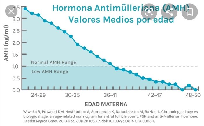 Reserva ovárica baja - embarazo es posible! 1