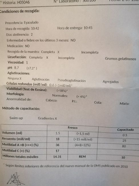 Inseminación artificial ¿cómo os fué? - 1