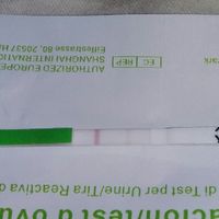 Duda - 1
