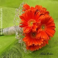 ramo gerberas1