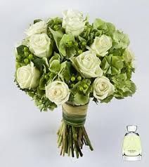 verde3