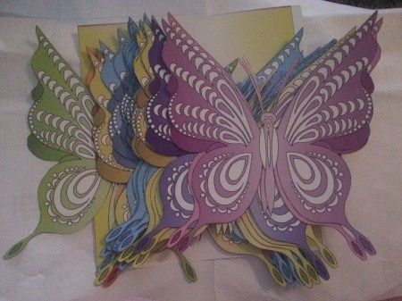mariposas