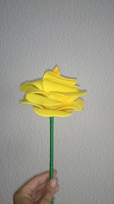 Rosa Amarilla Amigas 