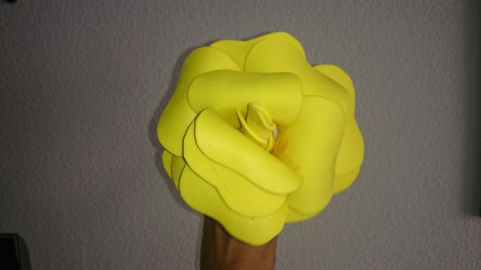 Rosa Amarilla Amigas 