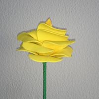 Rosa Amarilla Amigas 