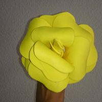Rosa Amarilla Amigas 