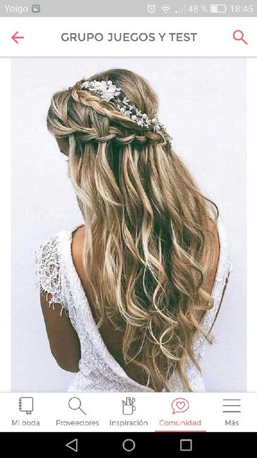 Recogido entero con trenzas - 4
