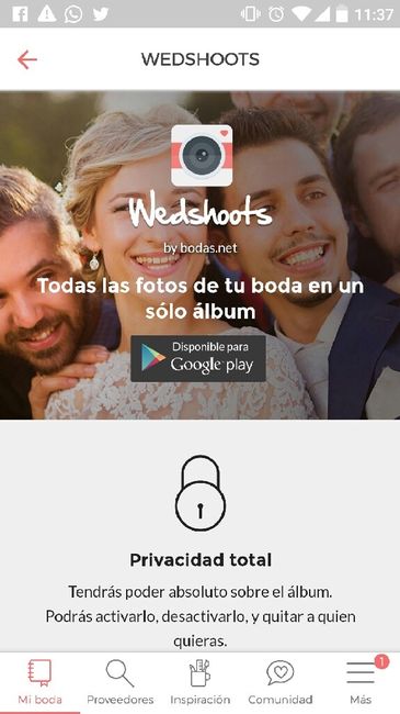 Blog y whedshoot - 1