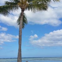 Playa hotel