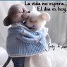 Novia