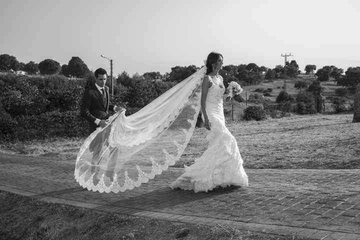Candidato mejor vestido de novia