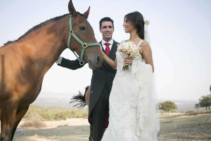 Candidato mejor vestido de novia